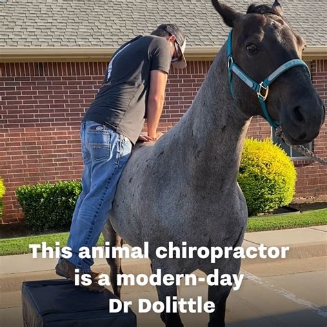 This Animal Chiropractor Is The Real-Life Dr. Dootlitte | This doctor is a chiropractor for ...