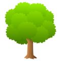 🌳 Deciduous Tree emoji - Meaning, Copy and Paste