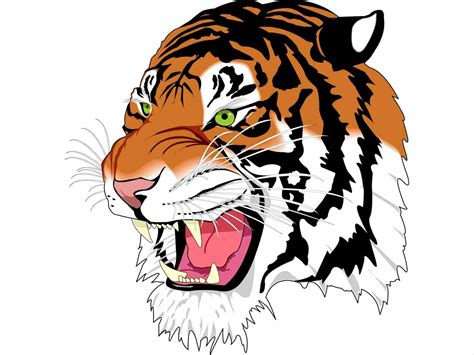 Tiger Side View Vector at Vectorified.com | Collection of Tiger Side ...