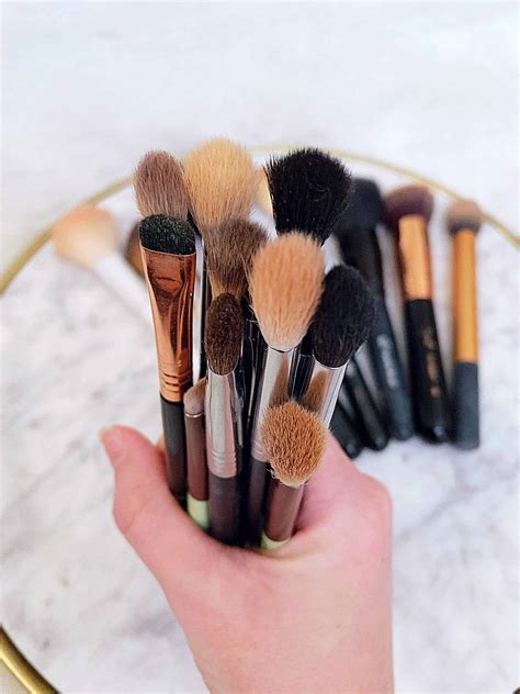 Beginner Makeup Brush Guide (The Brushes You Need) - Kindly Unspoken