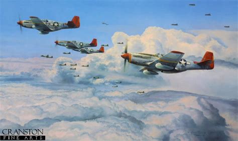 Fighting Red Tails by Robert Taylor.