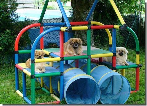 The 10 most inspiring Dog playground ideas