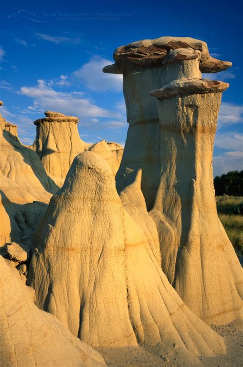 Theodore Roosevelt National Park Archives - Alan Majchrowicz Photography