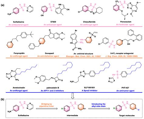 IJMS | Free Full-Text | Novel Sulfonamide Derivatives Containing a Piperidine Moiety as New ...