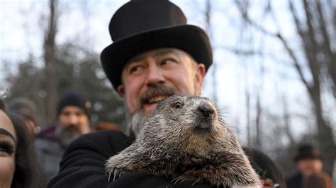 Groundhog Day: The European origins of the bizarre US tradition | Euronews