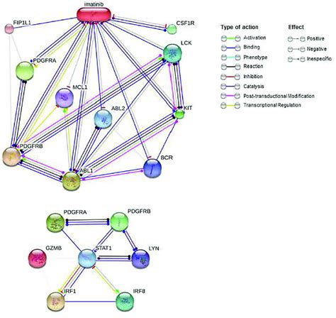 | Interactions of imatinib and PDGFRA and PDGFRB proteins. Imatinib... | Download Scientific Diagram