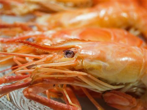 Fresh Cooked Shrimp Background Seafood Free Stock Photo - Public Domain ...