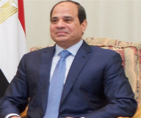 Abdel Fattah El-Sisi Biography - Facts, Childhood, Family Life ...