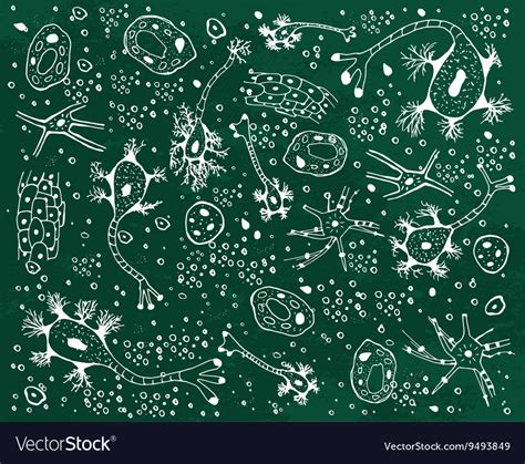 Biological background Royalty Free Vector Image