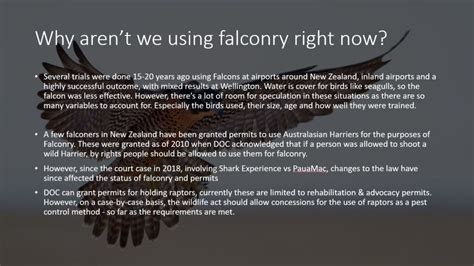 Kahu Conservation Falcon Presentation | | New Zealand Aviation Wildlife Hazard Group