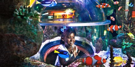 $19.94 – SEA LIFE Arizona: Interact w/Sea Creatures | Travelzoo