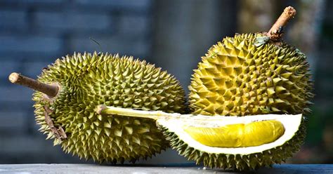 Health Benefits of Musang King Durian