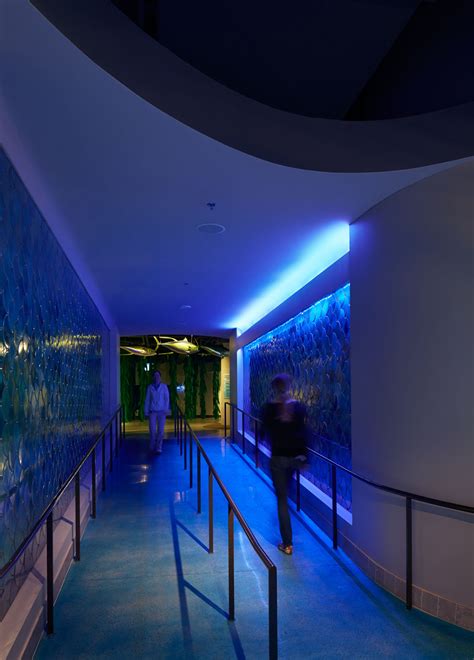 Toledo Zoo Aquarium | Bruce Damonte Architectural Photographer