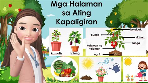 Kindergarten Week 32 MELC-based - Mga Halaman sa Ating Kapaligiran - YouTube