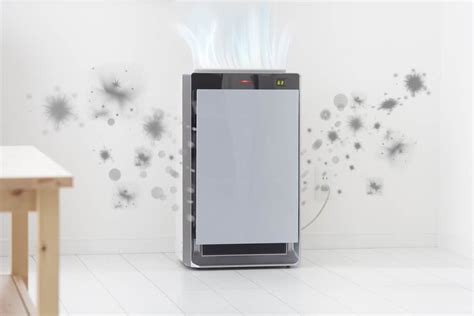 The Best Air Purifier for Mold Spores – Reviews & Ratings in 2024