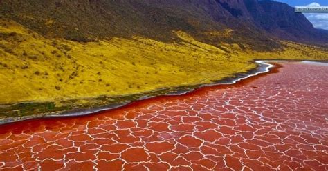 The Red Lake Natron in Tanzania | Geology In