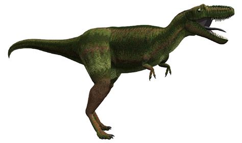 Gorgosaurus Pictures & Facts - The Dinosaur Database