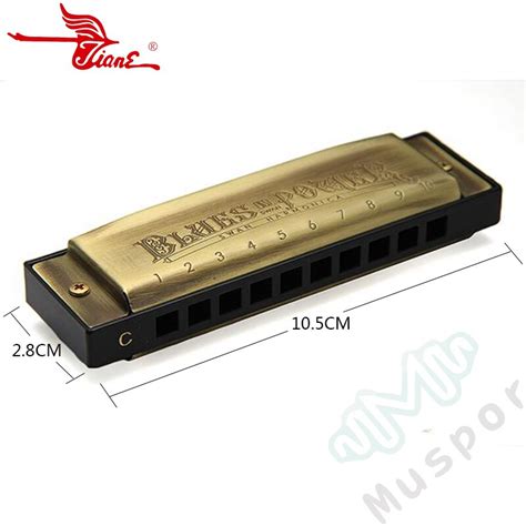 SWAN Bronze 10 Holes Diatonic Blues Harp Harmonica... – Grandado