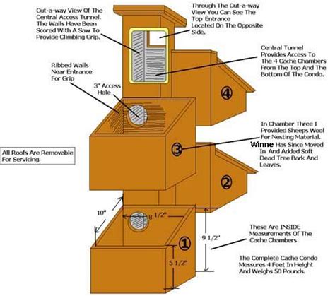 build a squirrel house - entobjects