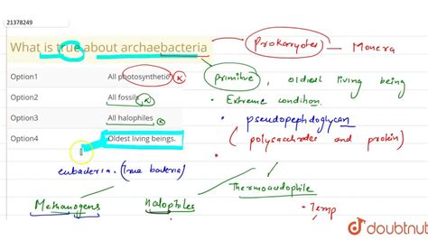 What is true about archaebacteria