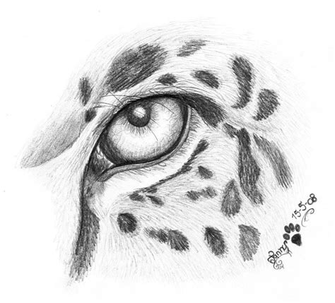 Jaguar eye by LarimarDragon on DeviantArt | Jaguar tattoo, Jaguar eyes, Animal sketches