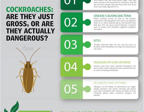 Basic Factors to Cockroach Control - GUJARAT PEST CONTROL SERVICES® - Pest control Company ...