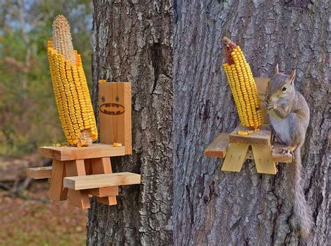 This Picnic Table Squirrel Feeder Lets Your Backyard Squirrels Sit Down To Eat Their Meals