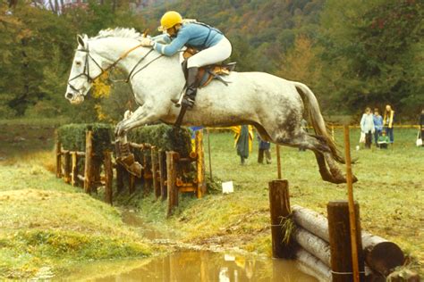 Wenham Museum Equine History