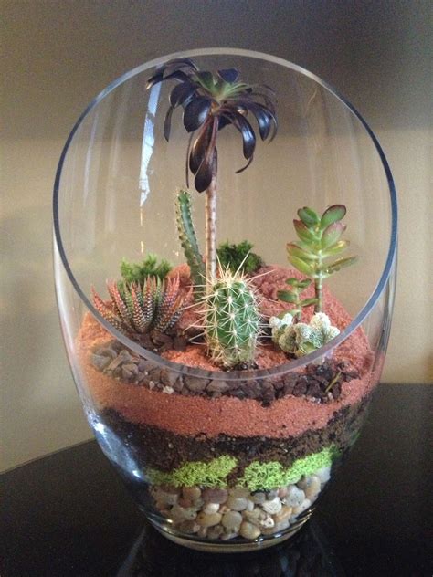 Homemade terrarium - layers, cacti, beautiful | Jardines, Jardín de rosas, Jardinería