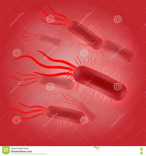 Escherichia coli virus stock vector. Illustration of micro - 75561709