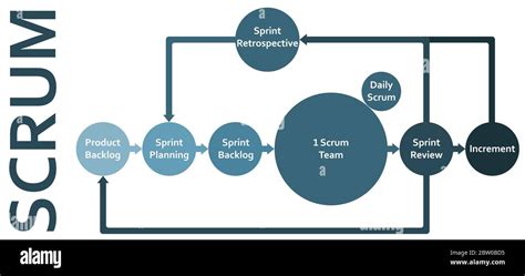 Scrum framework methodology life cycle flat diagram scheme infographics with backlog, sprint ...