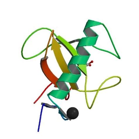 Enzyme Activity Measurement for Ribonuclease T1