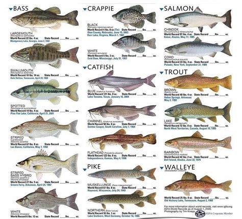 List of Freshwater Aquarium Fish #Fishing #FlyFishing #BassFishing # ...