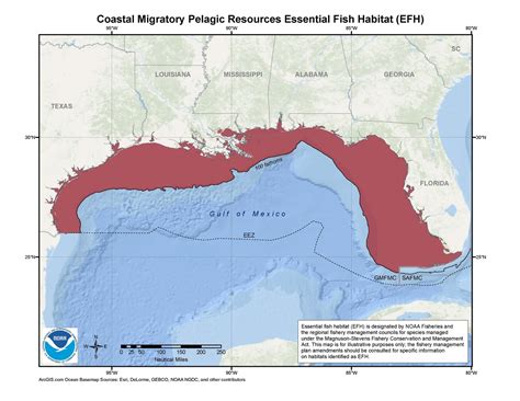 Coastal Migratory Pelagic Essential Fish Habitat (EFH) Map & GIS Data | NOAA Fisheries