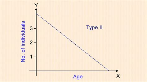 Types of Survivorship Curve with Examples - Science Struck