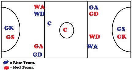 The Court and Positions - Netball