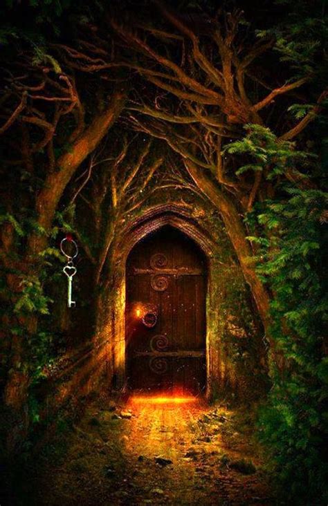 Door full of light in the enchanted forest... | Paisaje de fantasía ...