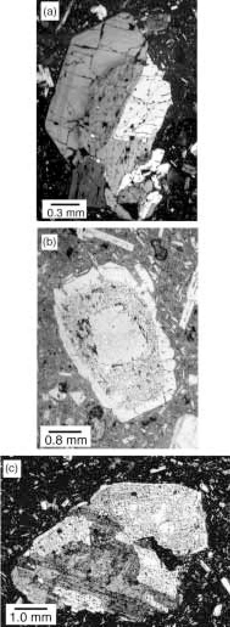 (a) Honeycomb plagioclase feldspar crystal. The interior of the crystal ...