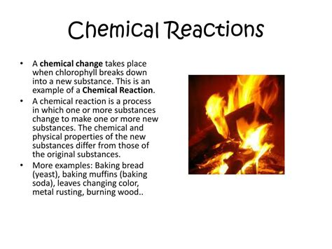 Burning Wood Chemical Change