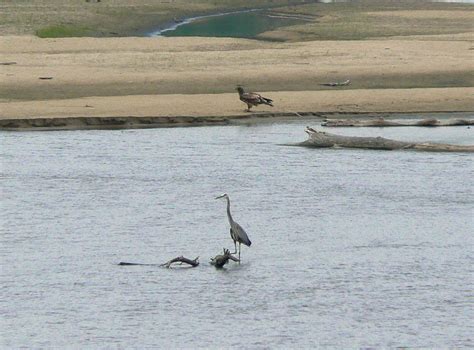 Platte River | Nebraska, Map, & Facts | Britannica