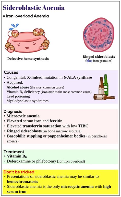 Sideroblastic anemia - Medicine Keys for MRCPs