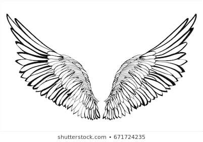 angel wings tattoo vector