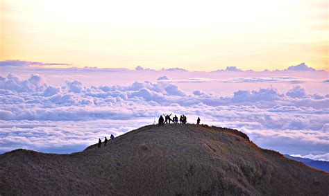 Mt. Pulag, Benguet | Favorite places, Natural landmarks, Landmarks