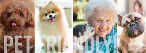 Articles - Best Dog Breeds for Seniors and Retirees | Seniors Blue Book