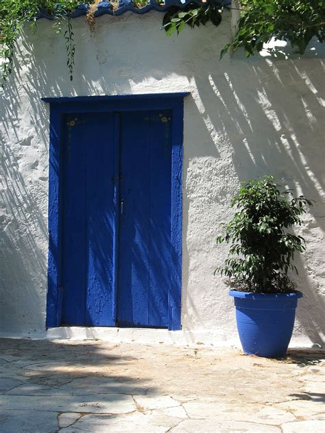 weeping, fig plant, vase, blue, door, wood, stucco, greece, home ...
