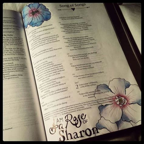 I am a rose of Sharon | Bible art journaling, Bible verse art, Bible ...