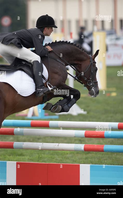 Show jumping competition Stock Photo - Alamy