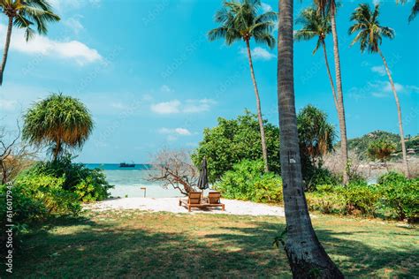 Tropical beach and coconut tree at koh tao Stock Photo | Adobe Stock