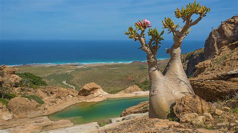 Socotra Wallpapers - Wallpaper Cave