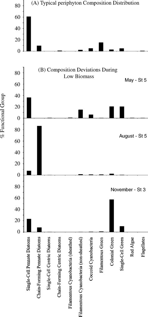 Early periphyton colonization assemblage composition. (A) Typical ...